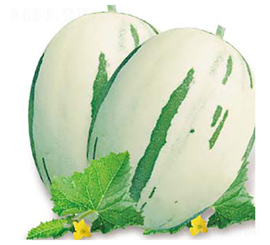 �䎧(M15)-��ϷN��-�߶˷N�I(y��)