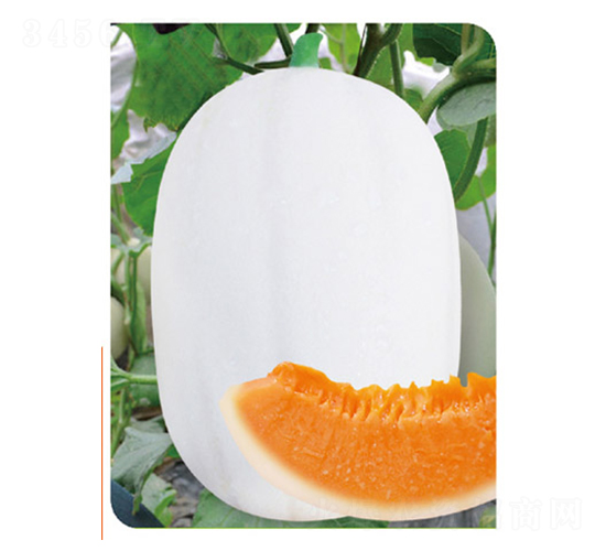 �߿��|����1̖-��ϷN��-�߶˷N�I(y��)