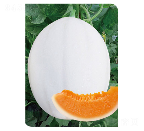 ��Ʒ�|����1̖-��ϷN��-�߶˷N�I(y��)