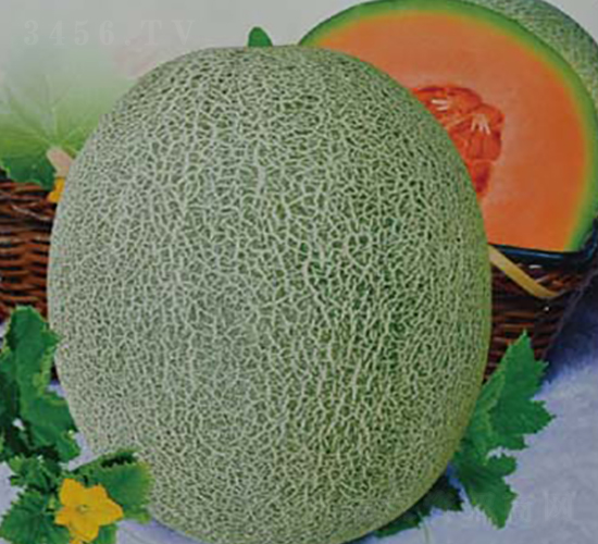 ��������25-��ϷN��-�߶˷N�I(y��)