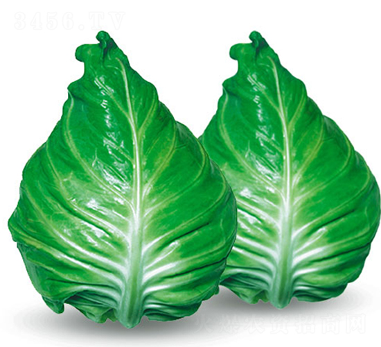 ����-���{�N��-�н��N�I(y��)