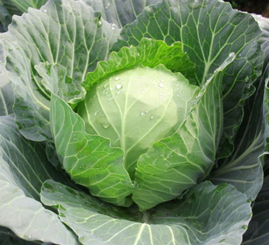 �K��28-���{(l��n)�N��-�н��N�I(y��)