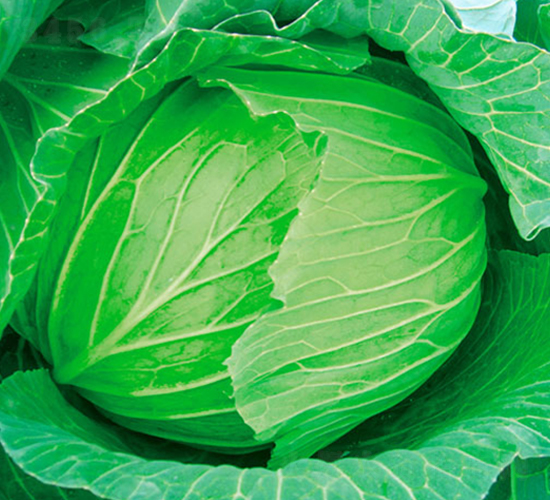 �K��27-���{�N��-�н��N�I(y��)