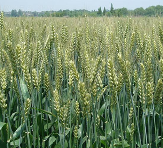 ����14-С���N��-�н��N�I(y��)