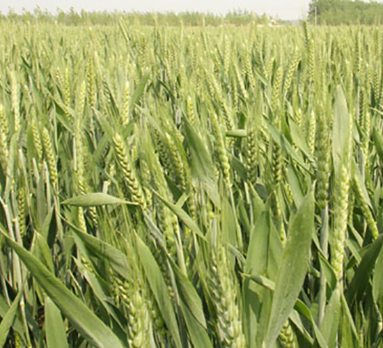 ����23-С���N��-�н��N�I(y��)