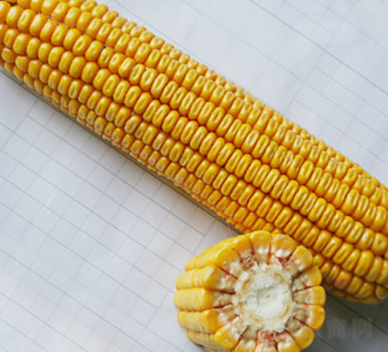 �н���1̖-�s�����׷N��-�н��N�I(y��)