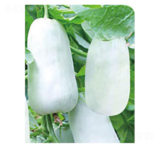 �ᭇ��-��ϷN��-�߶˷N�I(y��)