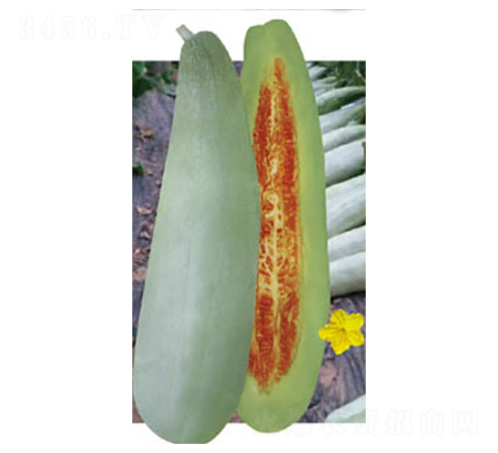 ������Ǵ�-��ϷN��-�߶˷N�I(y��)