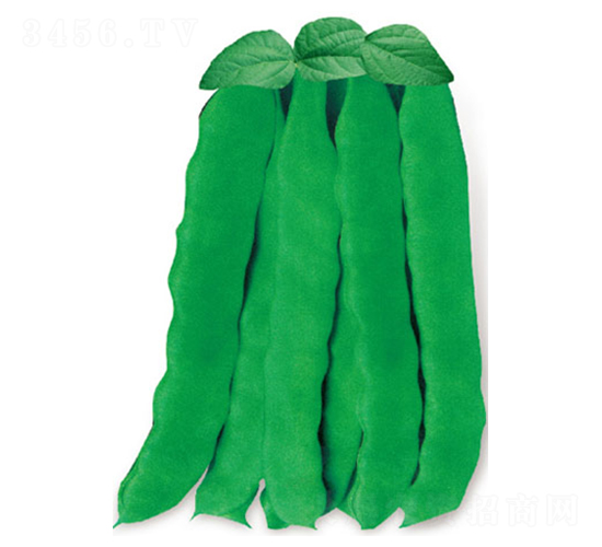 ����픃�(y��u)�p����-�|���N��-�߶˷N�I(y��)