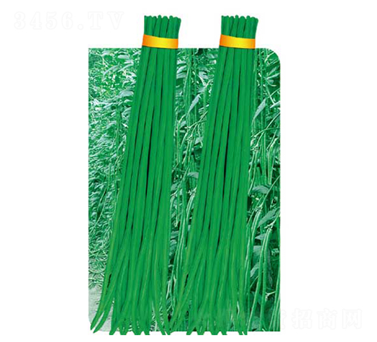 �����L��-���ǷN��-�߶˷N�I(y��)