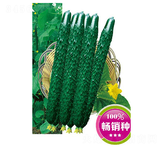 �G�S����106-�S�ϷN��-�߶˷N�I(y��)