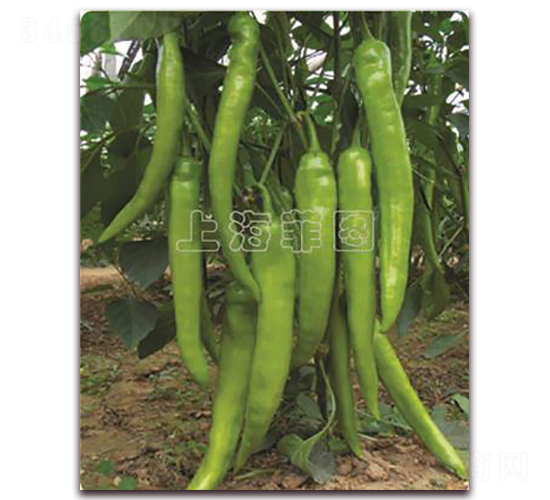 ����һ̖(h��o)-�����N��-�ƈD�N�I(y��)