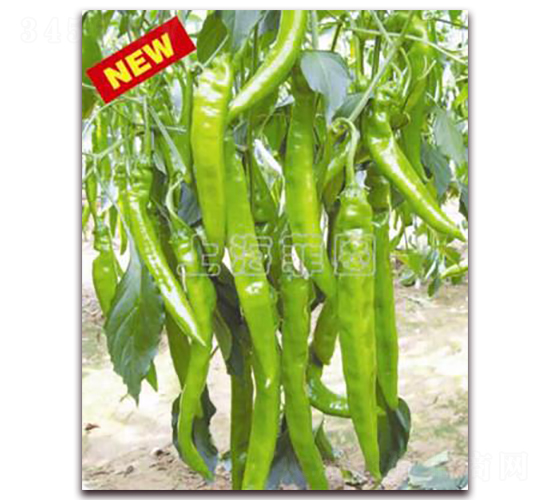 ������̖-�����N��-�ƈD�N�I(y��)