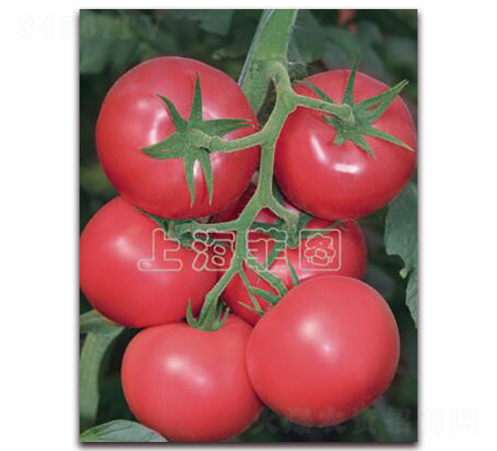 ����1810-��TY�۹����ѷN��-�ƈD�N�I(y��)