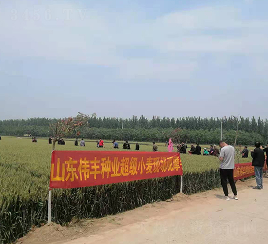 ɽ�|���S�N�I(y��)����(j��)С���F(xi��n)��(ch��ng)�^Ħ��(hu��)