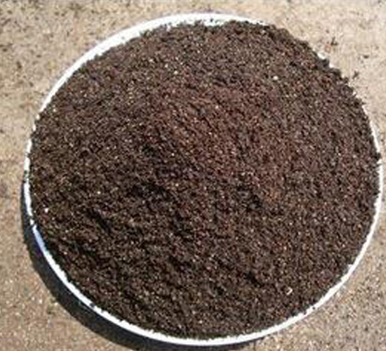 �o(w��)��������|(zh��)-�ݸ����B(t��i)