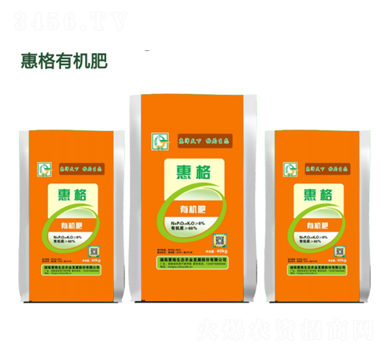 �ݸ��ЙC(j��)��-�ݸ����B(t��i)