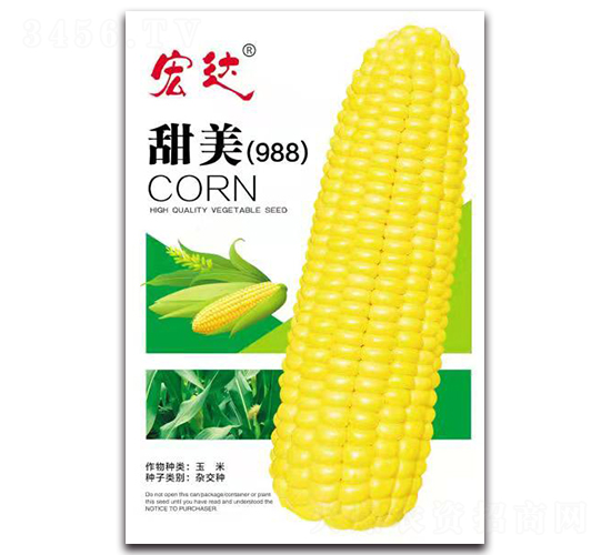 ����988-���׷N��-���_(d��)