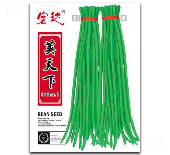 �v�����L(zh��ng)����-�����N��-���_(d��)