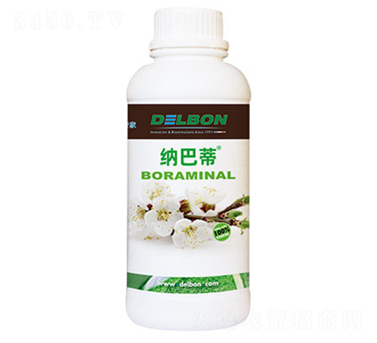 ���-�{�͵�-�f��