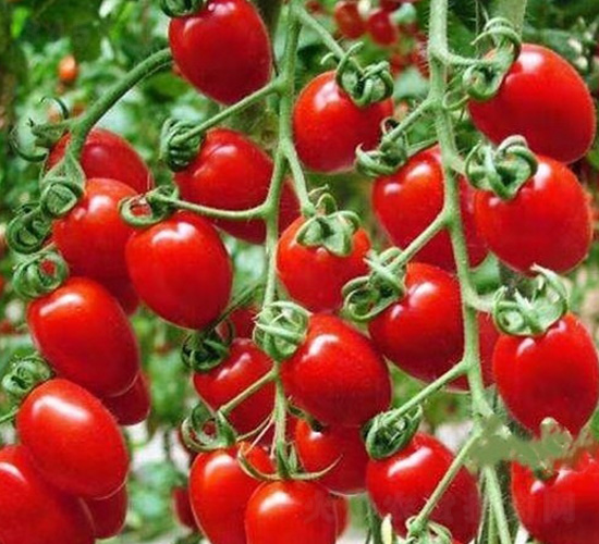 ʥŮ�����ҷ���-���ѷN��-�A�~�N�I(y��)