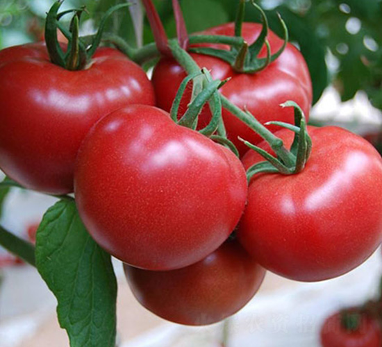 ���Ӳ������-���ѷN��-�A�~�N�I(y��)