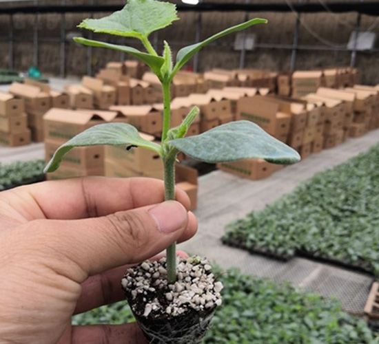 ʥ��(y��u)89�S��-�S�ϷN��-�A�~�N�I(y��)