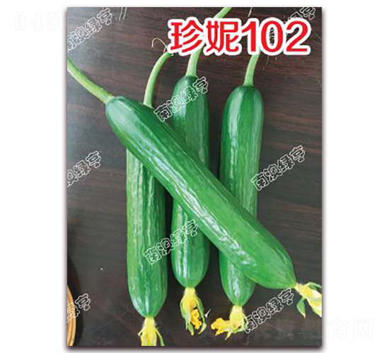 ����102-С�S�ϷN��-�ϰľG��