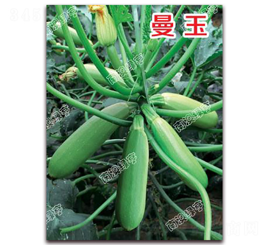 ����-�����J�N��-�ϰľG��