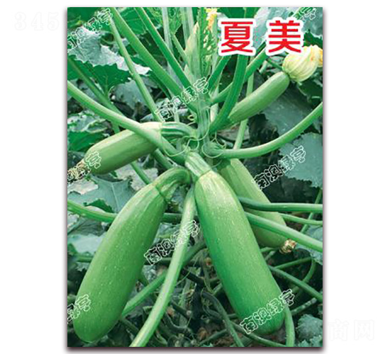 ����-�����J�N��-�ϰľG��