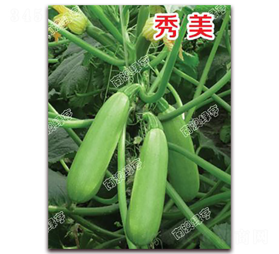 ����-�����J�N��-�ϰľG��