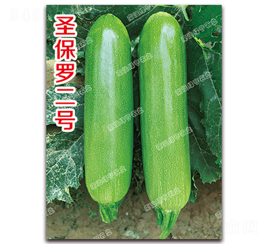 ʥ���_��̖-�����J�N��-�ϰľG��