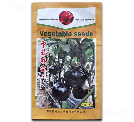 �����Ȍ�-���ӷN��-Ӣ���m��