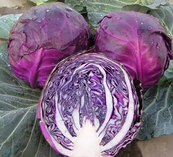 �ϸ��{(l��n)�N��-Ӣ���m��