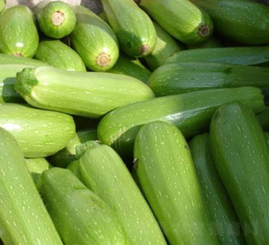 �����J�N��-Ӣ���m��