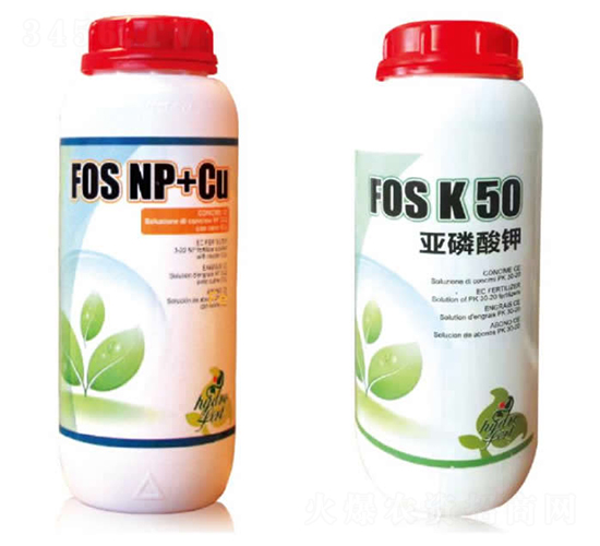 �������-�������