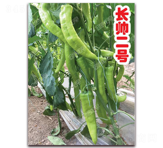 �L����̖(h��o)-�⽷�N��-�ϰľG��