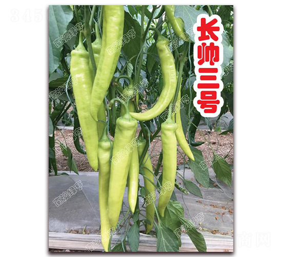 �L����̖-�⽷�N��-�ϰľG��