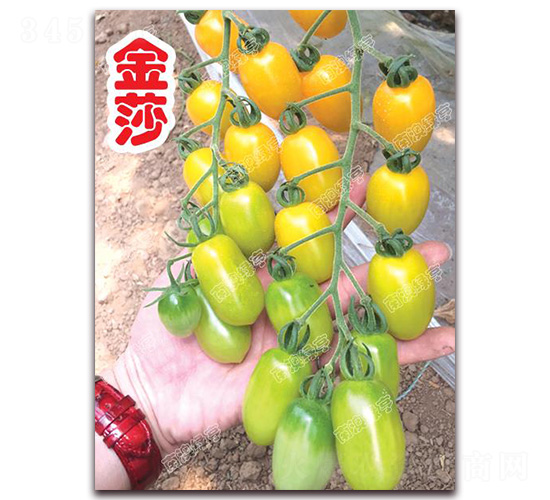 ��ɯ-��ɫ���ѷN��-�ϰľG��