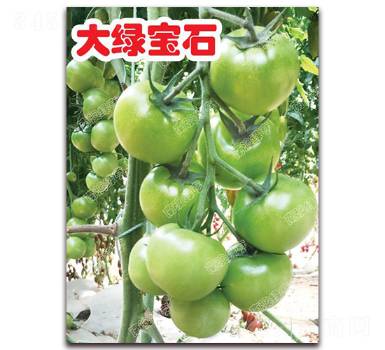 ��G��ʯ-��ɫ���ѷN��-�ϰľG��