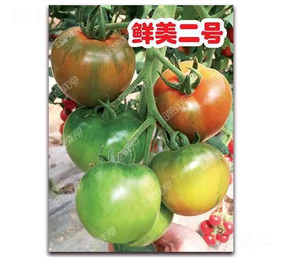 �r����̖(h��o)-��ɫ���ѷN��-�ϰľG��