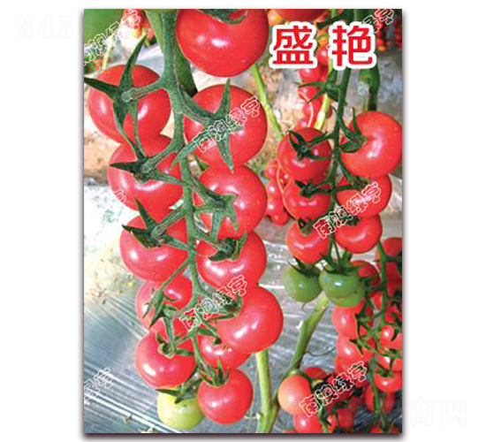 ʢ�G-���ҷ��ѷN��-�ϰľG��