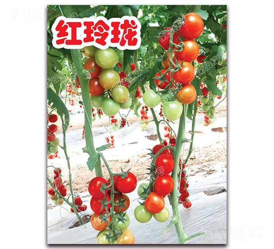 �t�ᭇ-���ҷ��ѷN��-�ϰľG��