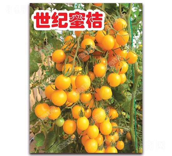 ���o�۽�-���ҷ��ѷN��-�ϰľG��