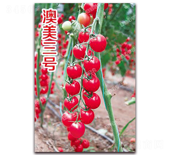 ������̖-���ҷ��ѷN��-�ϰľG��