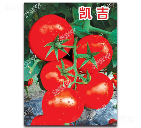 �P��-��t���ѷN��-�ϰľG��