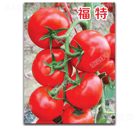 ����-��t���ѷN��-�ϰľG��