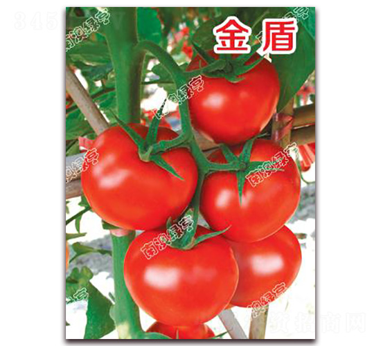 ���-��t���ѷN��-�ϰľG��