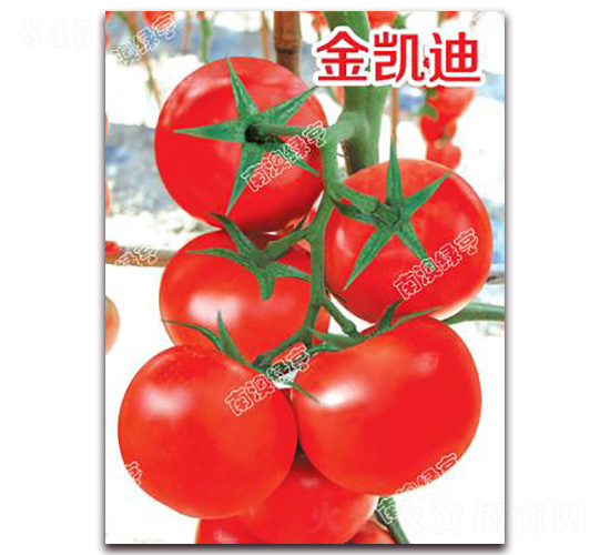 ���P��-��t���ѷN��-�ϰľG��