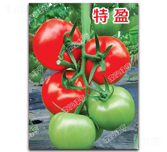 ��ӯ-��t���ѷN��-�ϰľG��